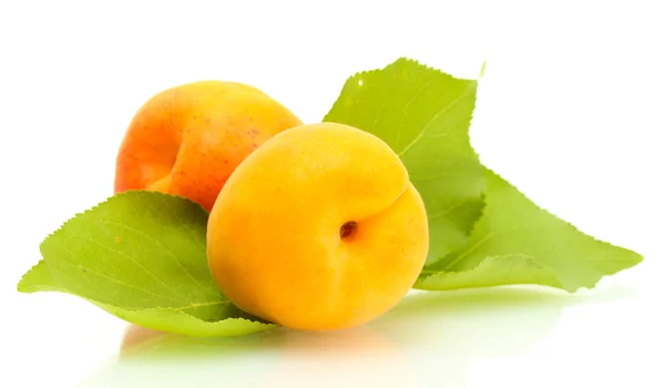 Спелые сладкие абрикосы с зелеными листьями, изолированными на белом — стоковое фото