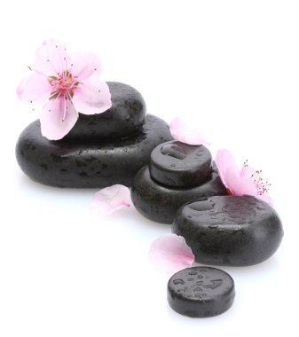 Spa taş düşer ve üzerinde beyaz izole pembe sakura çiçek