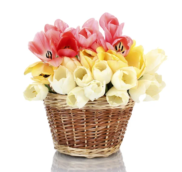 stock image Beautiful tulips in basket isolated on white