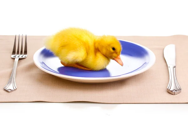 Ördek ve üzerinde beyaz izole Tablo ayarı — Stok fotoğraf