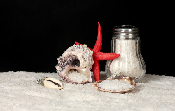 Sea salt in salt shaker with shells on black background