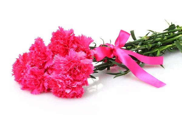 stock image Beautiful pink carnations isolated on white