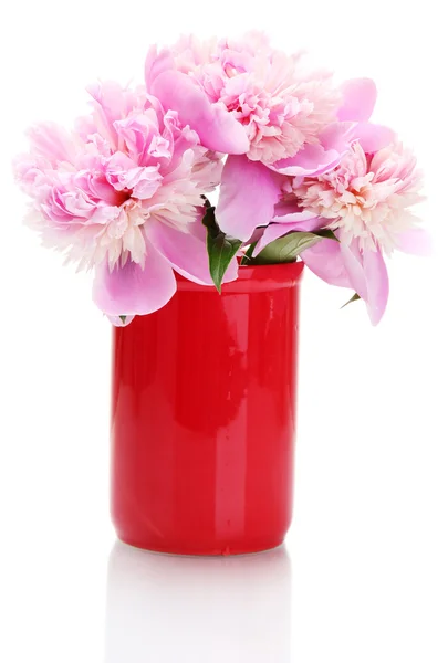 Pink peonies flowers in vase isolated on white — Stock Photo, Image