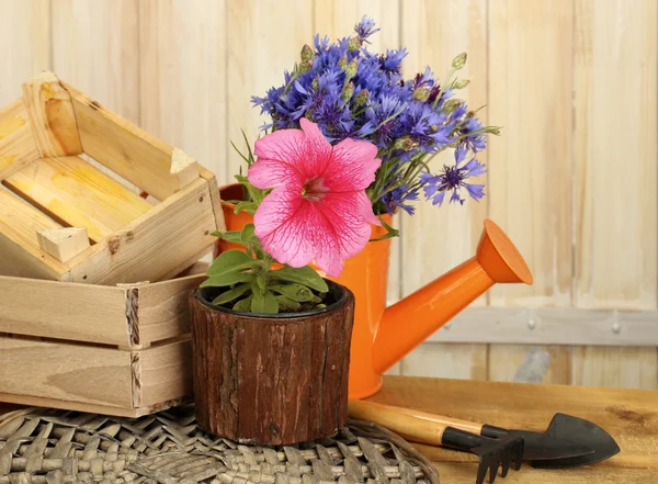喷壶、 工具和木制背景上的花朵 — 图库照片