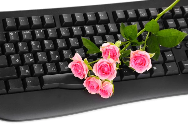 Pink roses on keyboard close-up internet communication — Stock Photo, Image