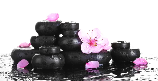 Pierres de spa avec gouttes et fleurs de sakura rose sur fond blanc — Photo