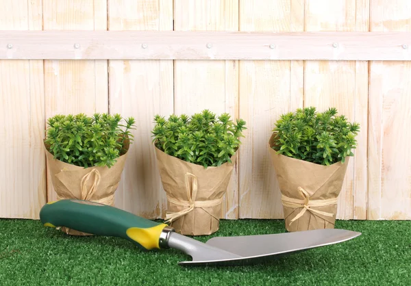 Trädgårdsredskap på trä bakgrund — Stockfoto