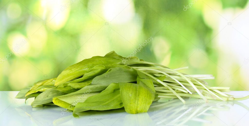 Ramson on green background
