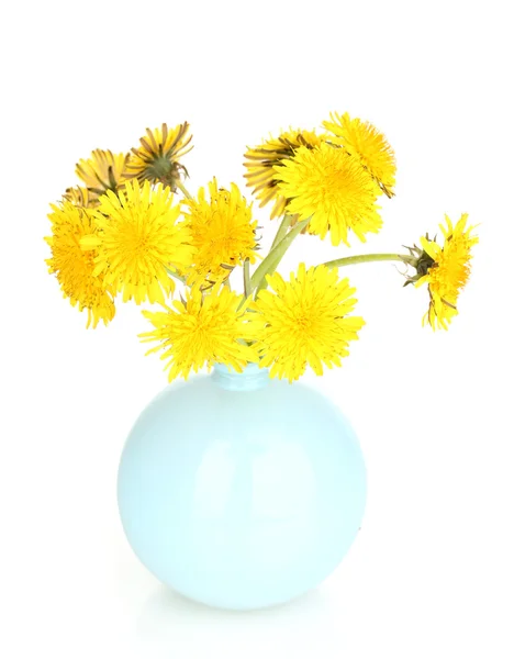 白で隔離される花瓶のタンポポの花 — ストック写真