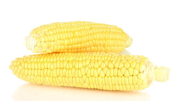 Свіжі кукурудзяні камери ізольовані на білому — стокове фото