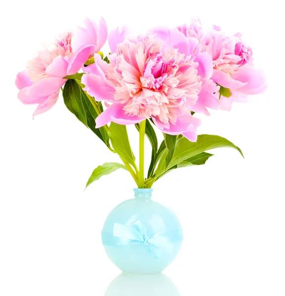Three pink peonies in vase isolated on white — Stock Photo, Image
