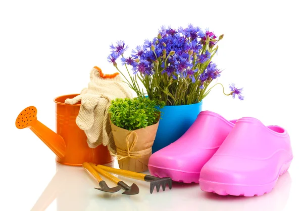Locsolókanna, kalucsni, eszközök és növények virágcserép elszigetelt fehér — Stock Fotó