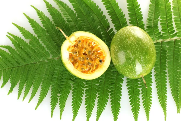Fruta de la pasión verde sobre fondo blanco de cerca —  Fotos de Stock