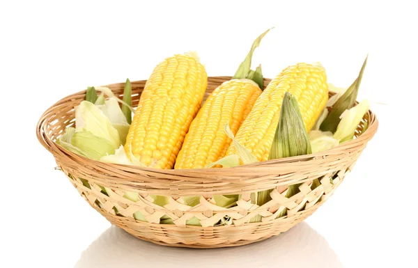 Fresh corn cobs in basket isolated on white — Stok fotoğraf
