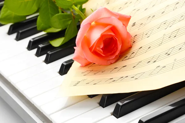 玫瑰与钢琴键盘的背景 免版税图库图片