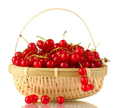 redcurrants üzerinde beyaz izole bir sepet içinde