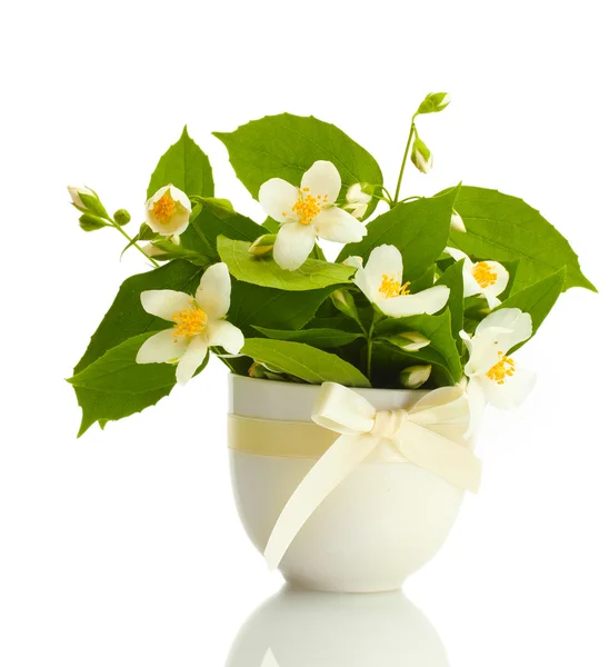 Szép jázmin virágok vázában elszigetelt fehér — Stock Fotó