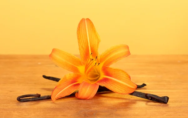 Vanilla pods with flower on yellow background — Stock Photo, Image