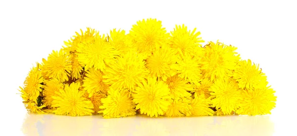 Muchas flores de diente de león aisladas en blanco —  Fotos de Stock