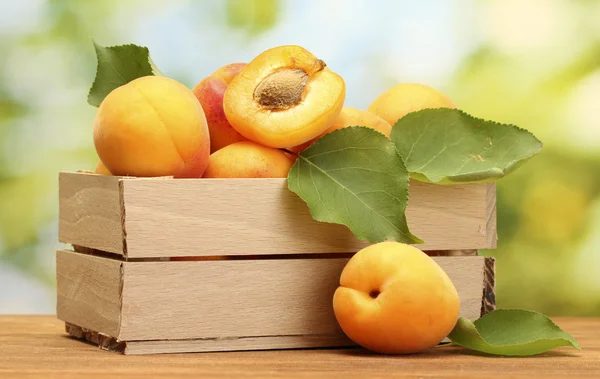 Mogna aprikoser med blad i trälåda på träbord på grön bakgrund — Stockfoto