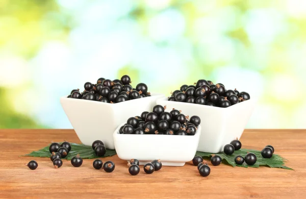 Fresh black currant in white bowls on green background close-up — Stock Photo, Image