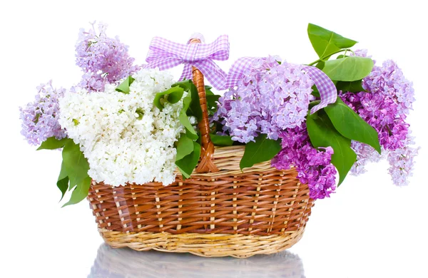 Beautiful lilac flowers in basket isolated on white Stock Picture