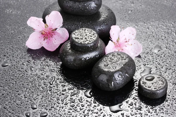 Spa stenen met druppels en roze sakura bloemen op grijze achtergrond — Stockfoto