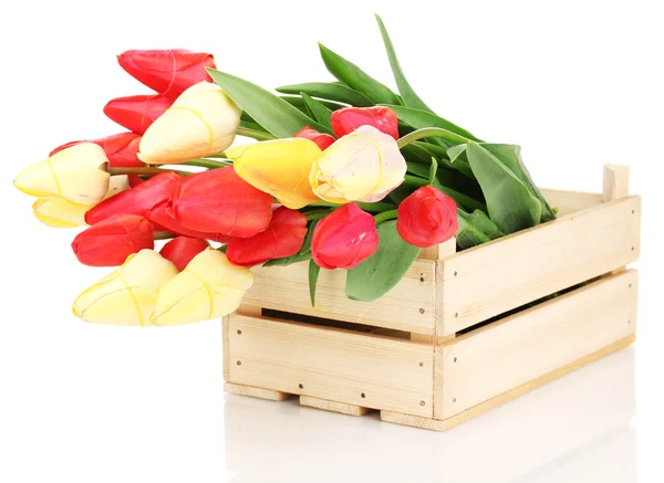 Krásné tulipány v bedně izolovaných na bílém — Stock fotografie