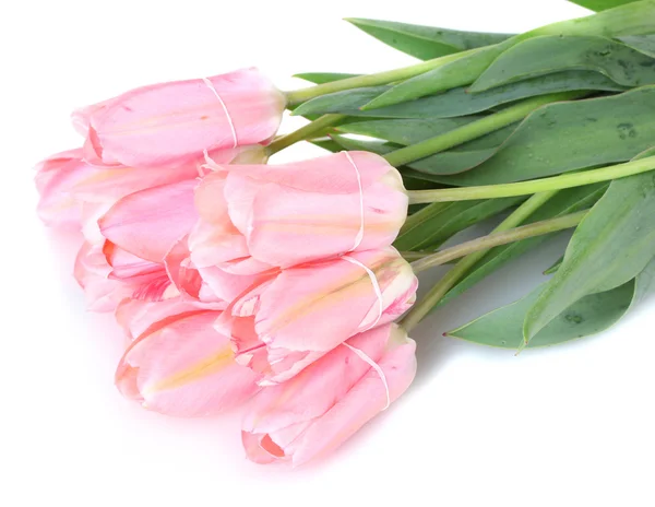 Beautiful pink tulips isolated on white — Stock Photo, Image