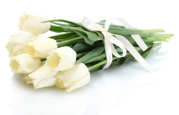 Beautiful tulips isolated on white — Stock Photo, Image