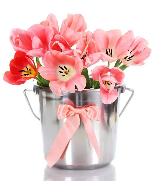 白色上隔离的存储桶中的美丽粉红郁金香 — 图库照片