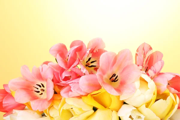 Hermosos tulipanes sobre fondo amarillo — Foto de Stock