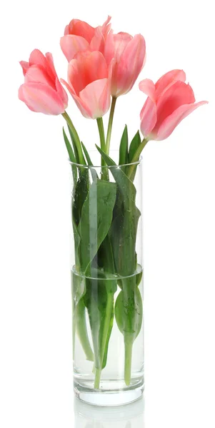 Belas tulipas rosa em vaso de vidro isolado em branco — Fotografia de Stock
