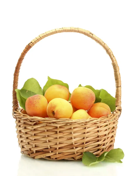 绿色的树叶在篮子上白色隔离与成熟杏子 — 图库照片