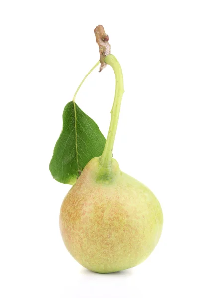 Mogna päron isolerade på vitt — Stockfoto