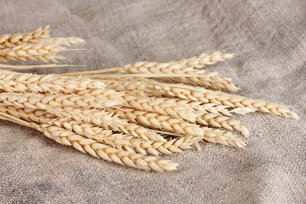 Wheat ears on burlap closeup — Stock Photo, Image