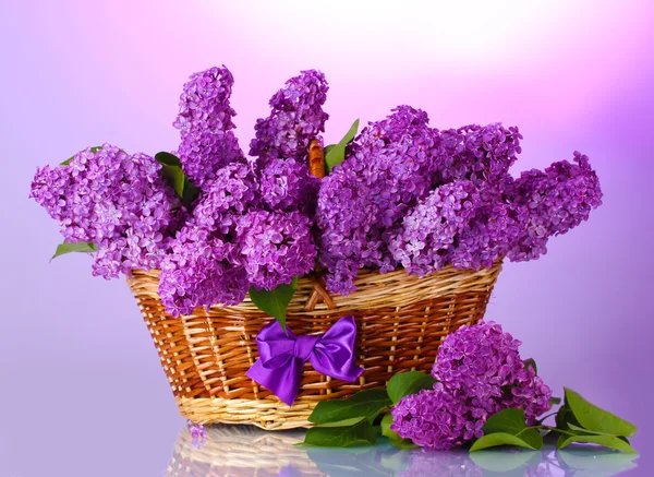 Stock image Beautiful lilac flowers in basket on purple background