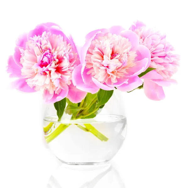 Three pink peonies in vase isolated on white — Stock Photo, Image