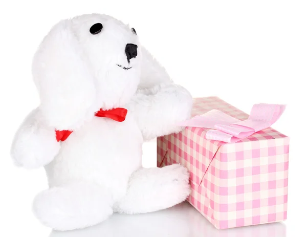 White bunny and gift box isolated on white — Stock Photo, Image