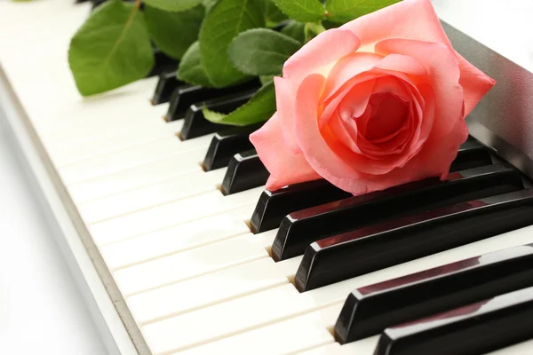 Fondo del teclado sintetizador con rosa —  Fotos de Stock