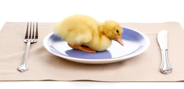 Ördek ve üzerinde beyaz izole Tablo ayarı — Stok fotoğraf