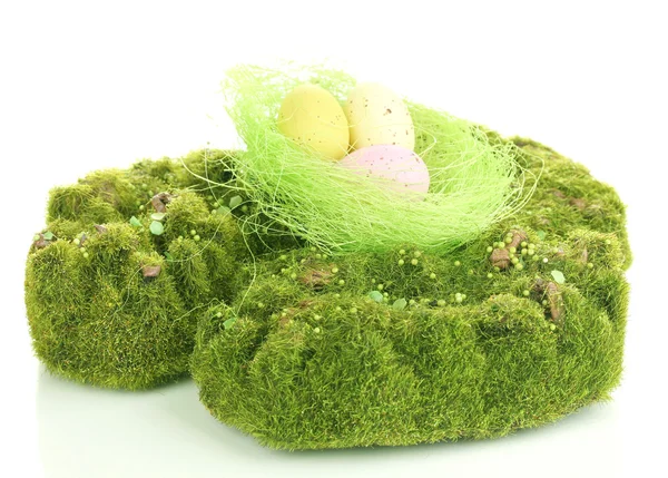 卵を白で隔離される緑の苔 — ストック写真