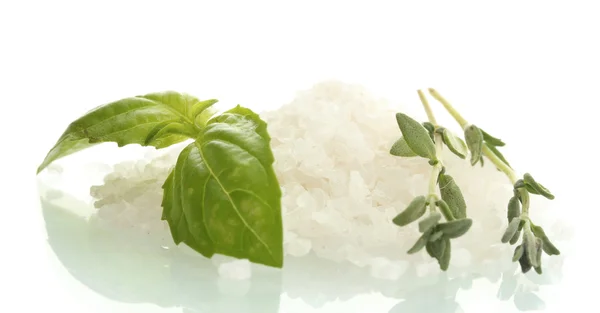 Salz mit frischem Thymian und Basilikum isoliert auf weiß — Stockfoto