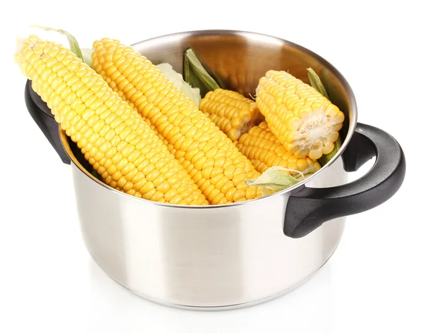 Mazorcas de maíz frescas en maceta aisladas en blanco — Foto de Stock
