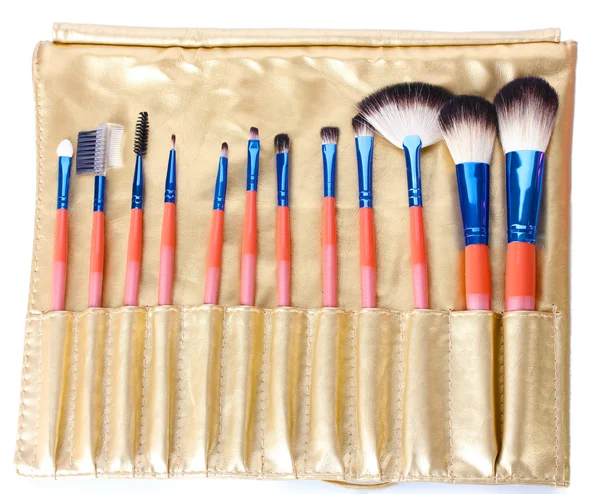 Conjunto de pincéis de maquiagem na caixa de couro dourado isolado em branco — Fotografia de Stock