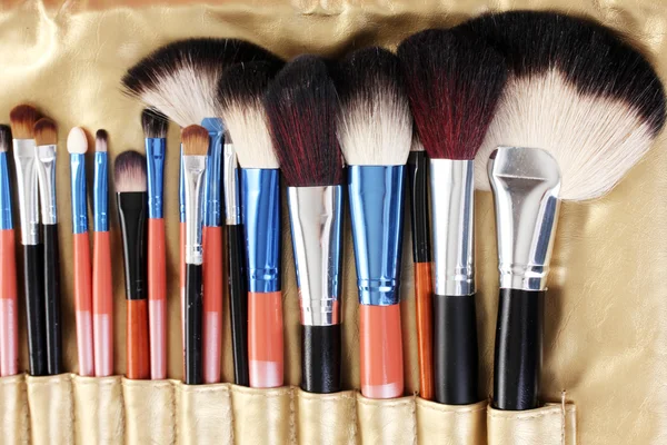 Set of make-up brushes in golden leather case close up — Stock Photo, Image