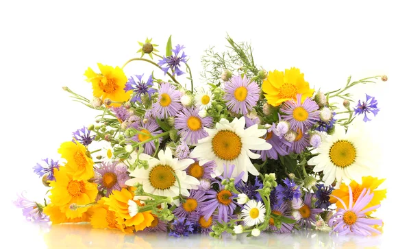 Belo buquê de flores silvestres brilhantes, isolado em branco — Fotografia de Stock