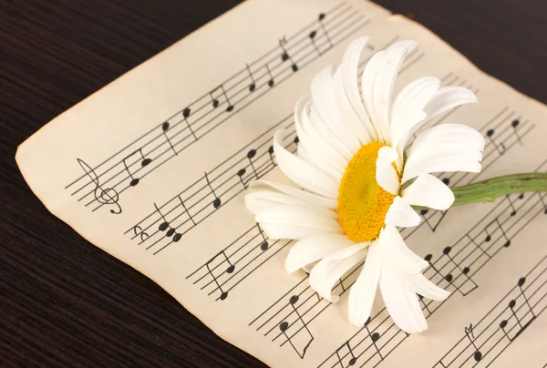 Musiknoter och blomma på träbord — Stockfoto