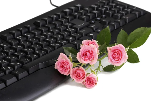 Pink roses on keyboard close-up internet communication