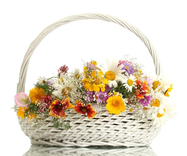 Beautiful bouquet of bright wildflowers in basket, isolated on white — Stock Photo, Image